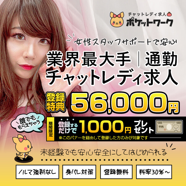 ポケットワーク